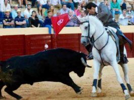 Andrés Romero, oreja en la de rejones de Osuna El onubense Andrés Romero, en un rejón de castigo hoy en la plaza sevillana de Osuna.