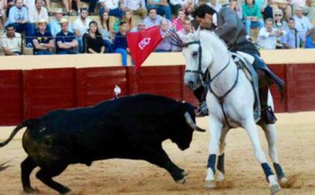 Andrés Romero, oreja en la de rejones de Osuna El onubense Andrés Romero, en un rejón de castigo hoy en la plaza sevillana de Osuna.