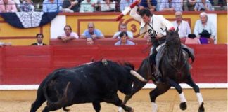 Andrés Romero con una banderilla hoy en Badajoz. (FOTO: Gallardo / badajoztaurina.com)