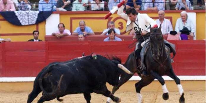 Andrés Romero con una banderilla hoy en Badajoz. (FOTO: Gallardo / badajoztaurina.com)