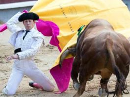 Una de las cuatro largas cambiadas del onubense Alejandro Conquero al novillo de su debut en Madrid. (FOTO: las-ventas.com)