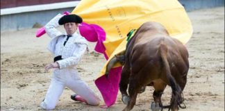 Una de las cuatro largas cambiadas del onubense Alejandro Conquero al novillo de su debut en Madrid. (FOTO: las-ventas.com)