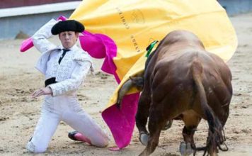 Una de las cuatro largas cambiadas del onubense Alejandro Conquero al novillo de su debut en Madrid. (FOTO: las-ventas.com)