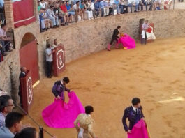 Buena novillada mixta en Almonaster la Real Plaza de toros de Almonaster la Real.