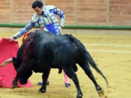 El onubense David de Miranda, hoy domingo en Arnedo.