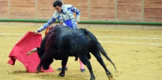 El onubense David de Miranda, hoy domingo en Arnedo.